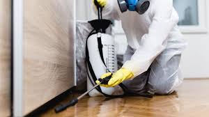 Indoor Pest Control in Woodfin, NC